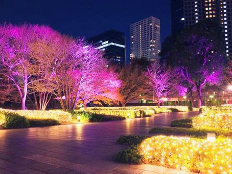 🌸 Urban Sakura Oasis: Cherry Blossoms & Chic Vibes at Izumi Garden Terrace 🌸