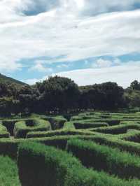 🌿 제주도에서 자연을 만끽할 수 있는 여행 코스