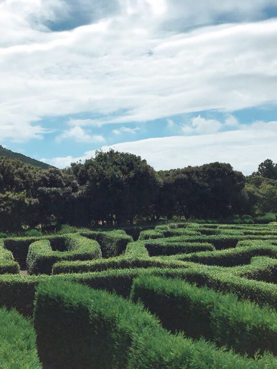 🌿 제주도에서 자연을 만끽할 수 있는 여행 코스