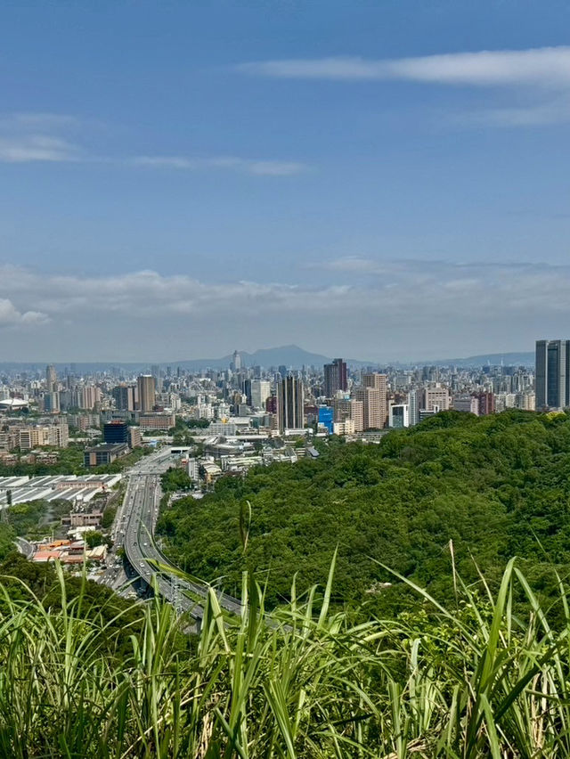 最親近台北的森林步道～富陽及黎和自然生態公園走走