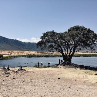 Sipping Coffee Among Wildlife - Ngoitokitok Picnic Area