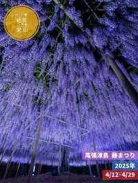 え？これ無料で見れるん？死ぬ前に絶対に見ておきたい藤棚の絶景✨