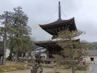 天橋立智恩寺！