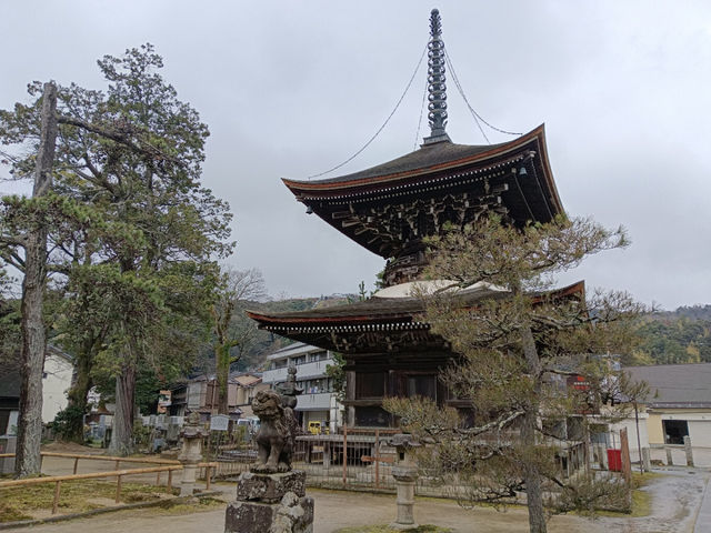 天橋立智恩寺！