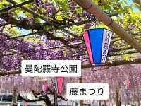 【限定イベント】曼陀羅寺公園の藤まつり