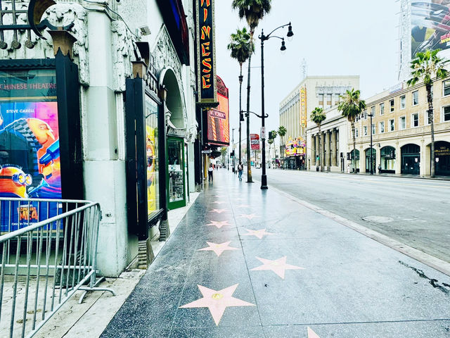 Ultimate Morning Stroll