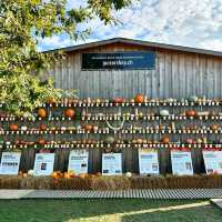 A Rustic Autumn Escape: My Visit to Junker Farm in Jona