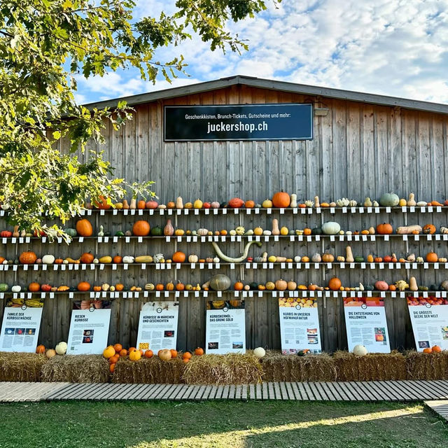 A Rustic Autumn Escape: My Visit to Junker Farm in Jona