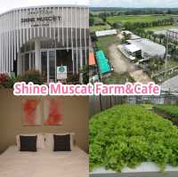 Shine Muscat Farm&Cafe 