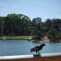 打吹公園～時光錦囊  