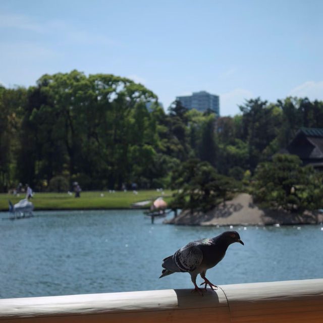 打吹公園～時光錦囊  