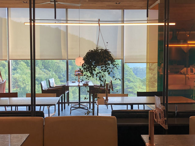 제천에서 만나는 힐링 여정🍂 묵은지 닭도리탕부터 성지 산책, 숲속 리조트까지
