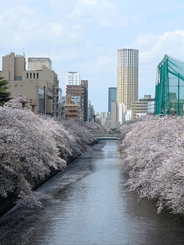 Prettiest Walk Ever