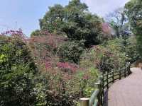 The Stunning views at Yangmingshan National Park, Taipei, Taiwan