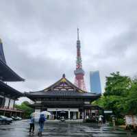 โตเกียวในวันที่ฝนตก โลกเดินช้า