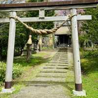 穿越時光迴廊：北海道開拓村的歷史印記