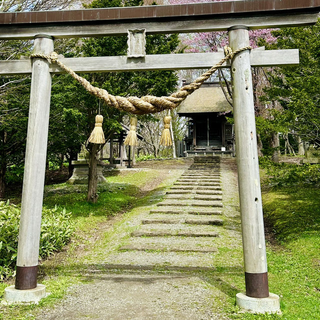 穿越時光迴廊：北海道開拓村的歷史印記