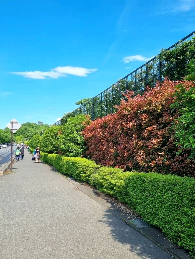 WALK THE PATH WHERE WISHES COME TRUE 