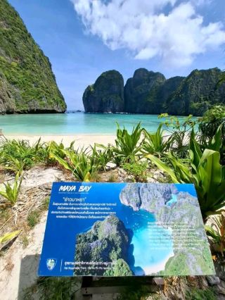 Maya Bay, Phi Phi Leh Island