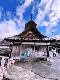 ［東京旅行］忍野八海-富士山旁的人間仙境☁️