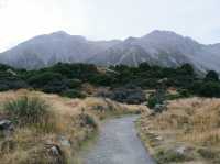พาเดินเทรลที่ Mount Cook - เกาะใต้นิวซีแลนด์ 