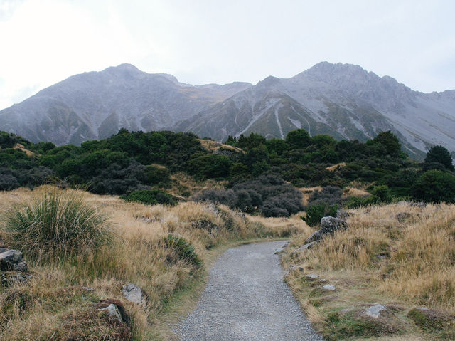 พาเดินเทรลที่ Mount Cook - เกาะใต้นิวซีแลนด์ 