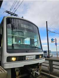 โตเกียว One Day Trip ที่ Kamakura