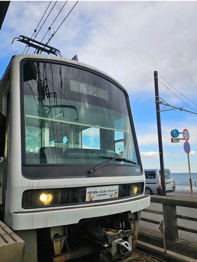โตเกียว One Day Trip ที่ Kamakura