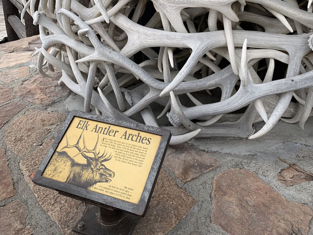 Scoops & Antlers: A Jackson Ramble