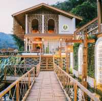 คาเฟ่ อาข่า พามิโอ้ (Akha PhamiO) : ดอยผาหมี