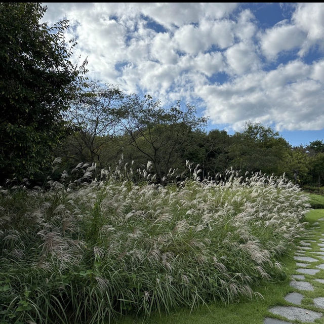 ハンバッ樹木園