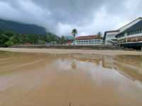 "Nature’s Embrace: The Hidden Gem of Santubong"