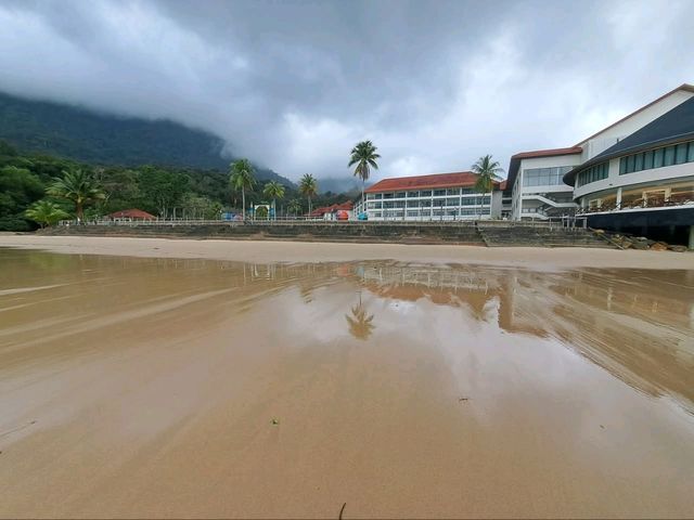 "Nature’s Embrace: The Hidden Gem of Santubong"