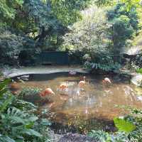 嘉道理農場暨植物園（Kadoorie Farm and Botanic Garden）