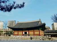 韓國🇰🇷德壽宮