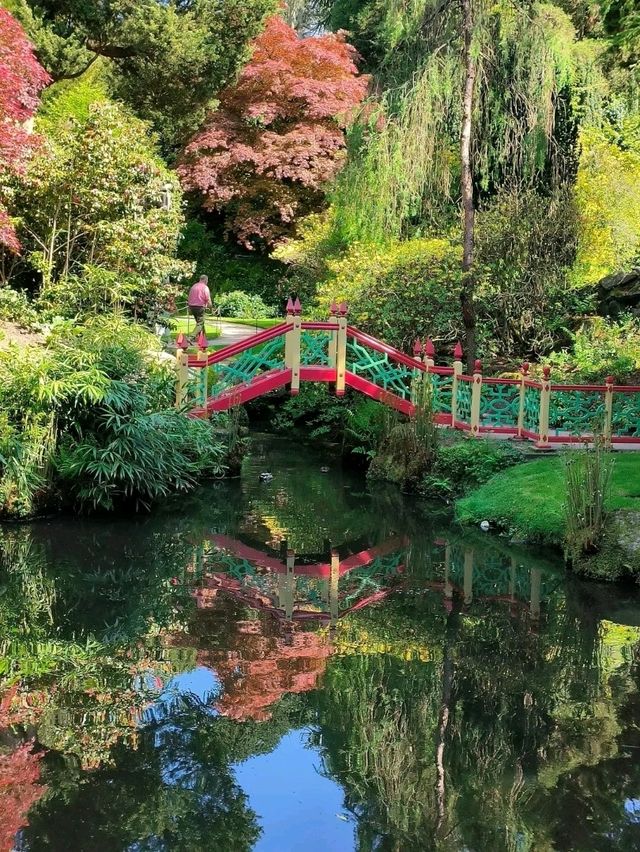 Stepping into a Victorian Wonderland: Biddulph Grange Garden