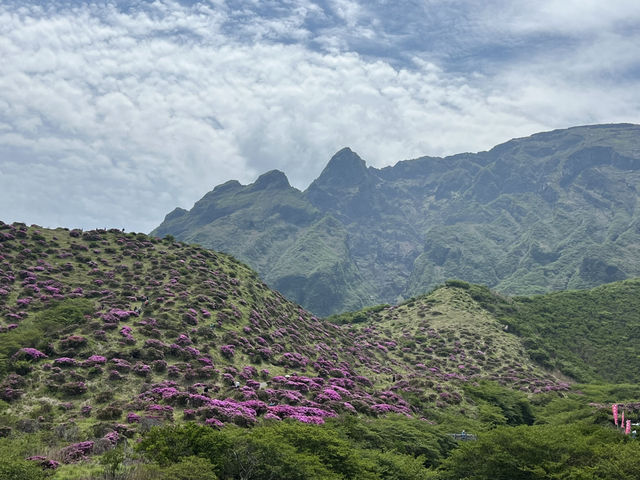 天空の花畑　仙酔峡