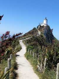📍紐西蘭。南島【海風與金塊之歌】Nugget Point：在世界的邊緣與自然共舞
