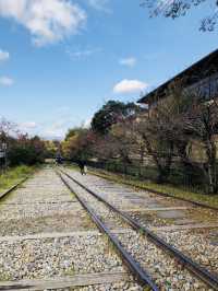 【京都・山科】  知る人ぞ知る絶景寺院「毘沙門堂門跡」で、静かで美しい京都時間を🍁🌸