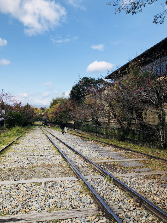 【京都・山科】  知る人ぞ知る絶景寺院「毘沙門堂門跡」で、静かで美しい京都時間を🍁🌸