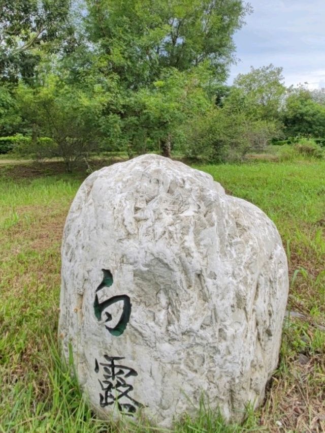 #林後四林平地森林園區-屏東縣潮州鎮