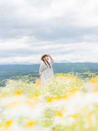 【宮城】＼まもなく見頃／☘️絶景を望むカモミール畑