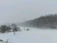 Moerenuma Park – Where Art Meets Nature in Sapporo