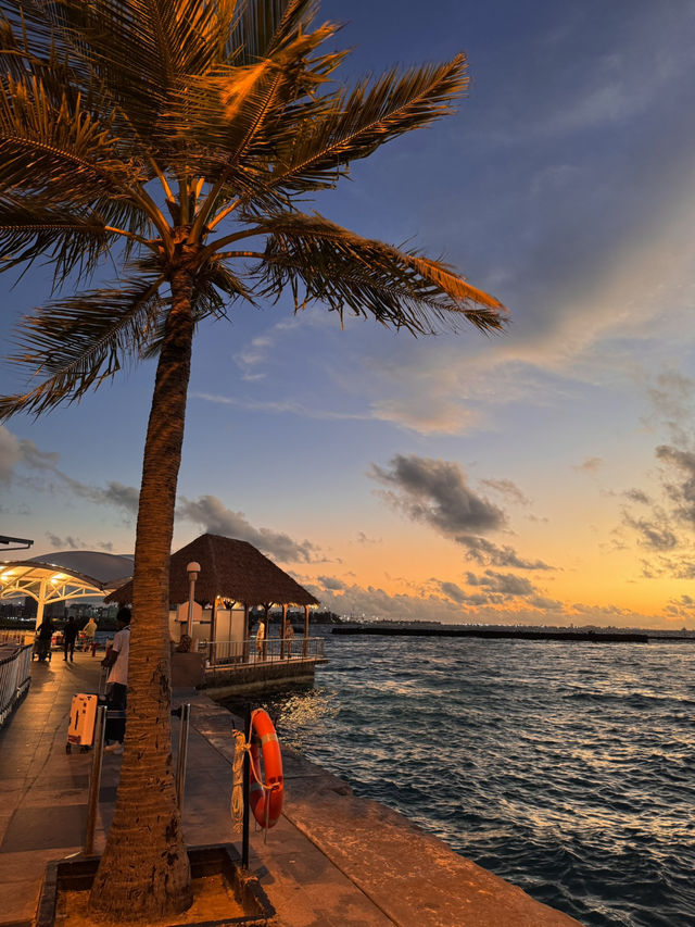 🏝️🤿Super invincible and beautiful Maldives (all-inclusive!)