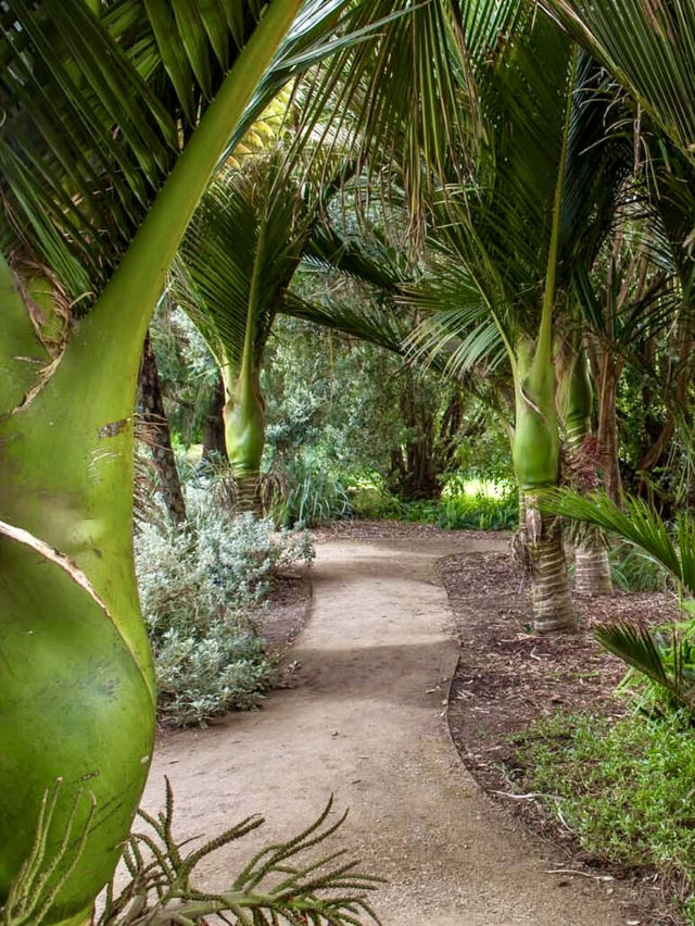 San Francisco Botanical Garden