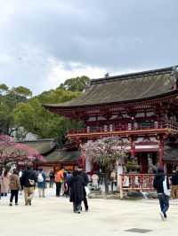 แหล่งท่องเที่ยวฟุกุโอกะ Dazaifu Tenmangu 🇯🇵