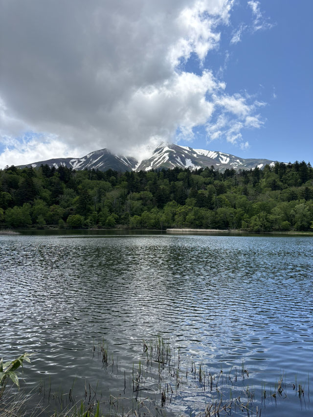 【神秘の湖面】利尻島の絶景スポット姫沼