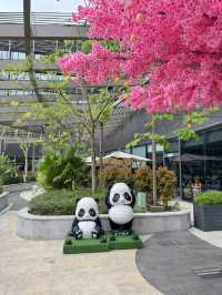 【香港】 海洋公園萬豪自助午餐，甜品愛好者必食！
