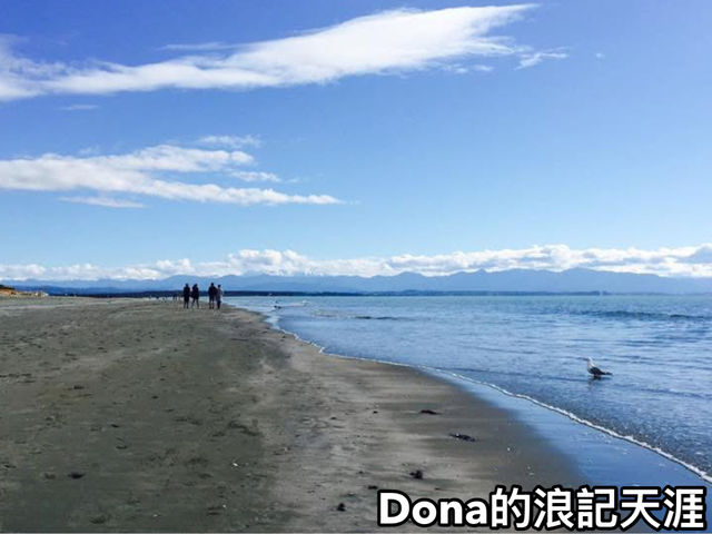 📍紐西蘭南島。尼爾森Tahinanui Beach｜在地人推薦必訪
