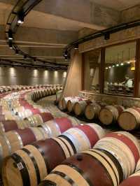 Mendoza – Where Malbec Meets the Mountains